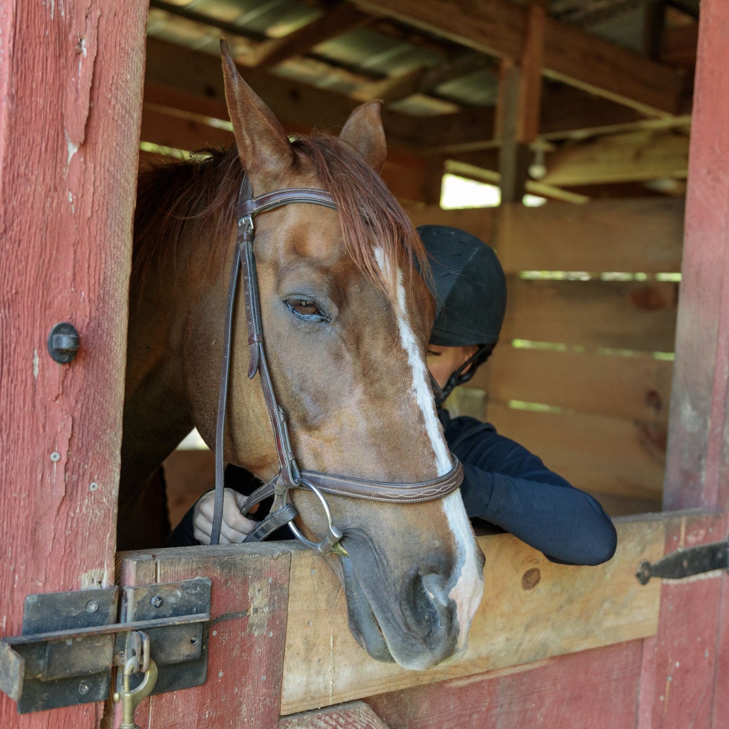 FarmGard Fam and Dairy Fly Spray - Provides Rapid Control of Barn Pests