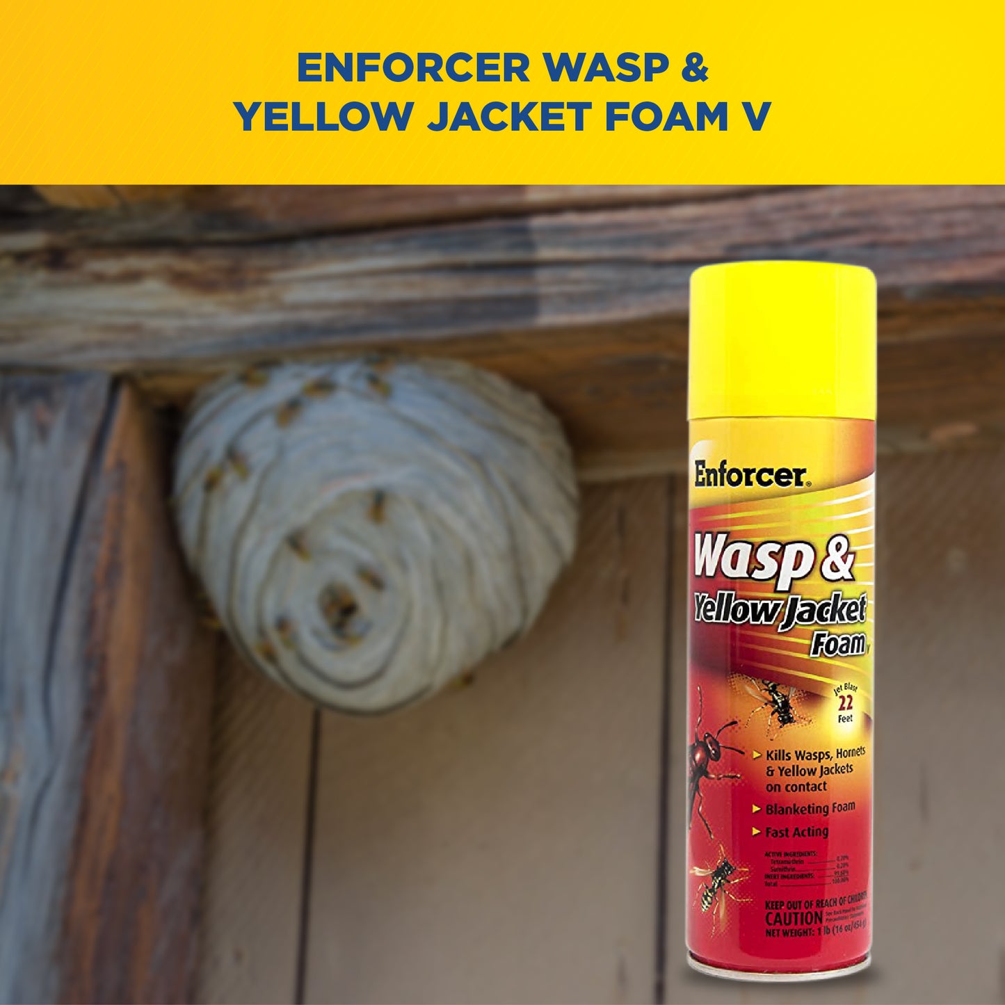 Wasp & Yellow Jacket Foam