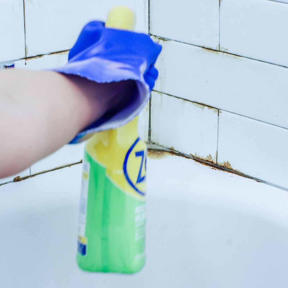 Cleaning Mold and Mildew Zep Inc.