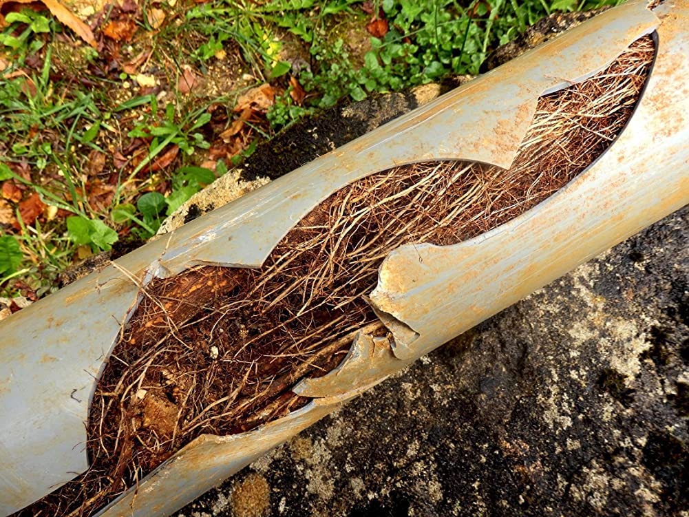 Root Kill - Root Control in Septic Tanks & Leach Lines- 2 Pounds