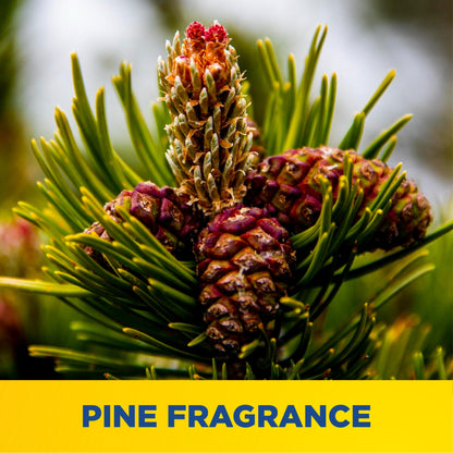 Zep Flash Premium Grade Concrete Floor Cleaner – Removes Heavy Grease and Oils – 40 Pounds