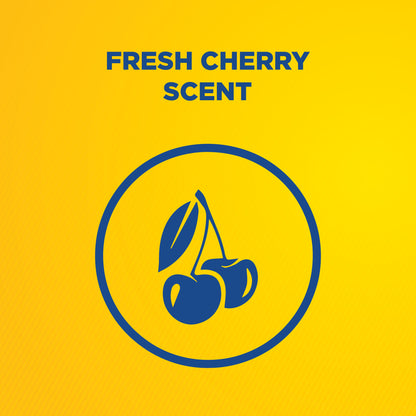Cherry Punch Hand Cleaner - 32 oz.