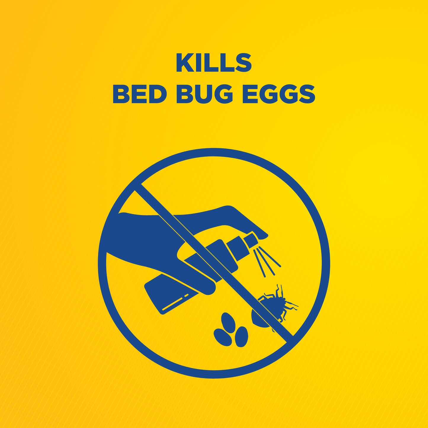 Bed Bug Spray