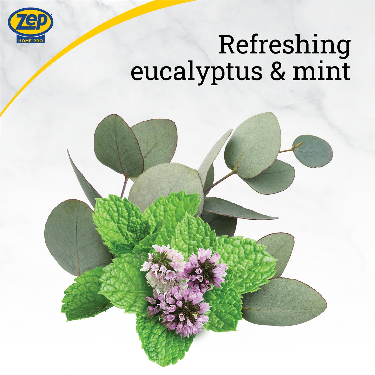 Zep Home Pro Counter & Stone Wipes 50 ct.