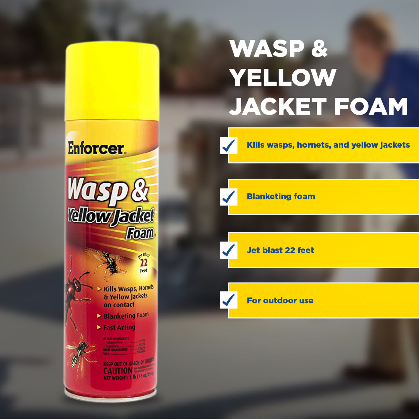Wasp & Yellow Jacket Foam
