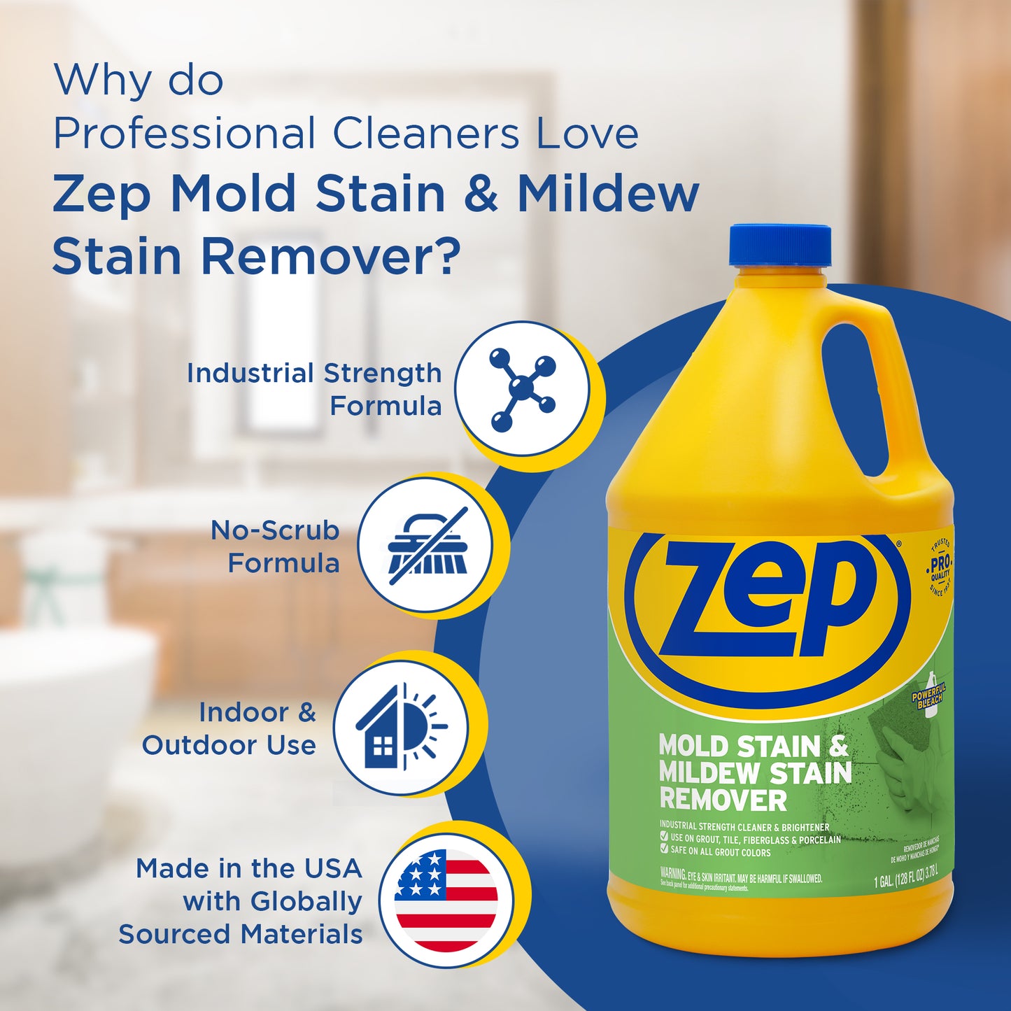 Zep Mold Stain and Mildew Stain Remover – Bleach Formula – 1 Gallon