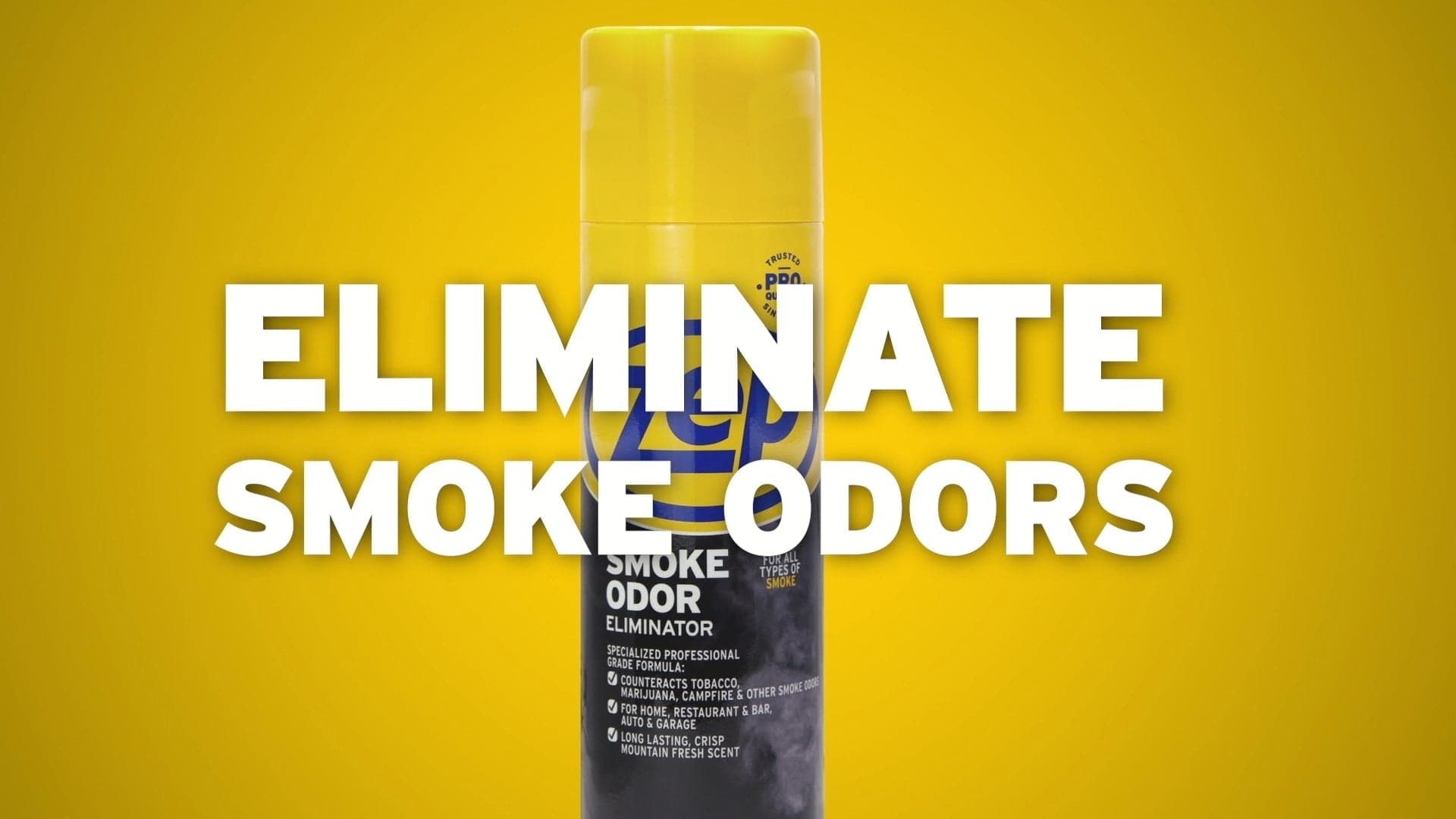 The 17 best odor eliminators of 2023 for every room in the house