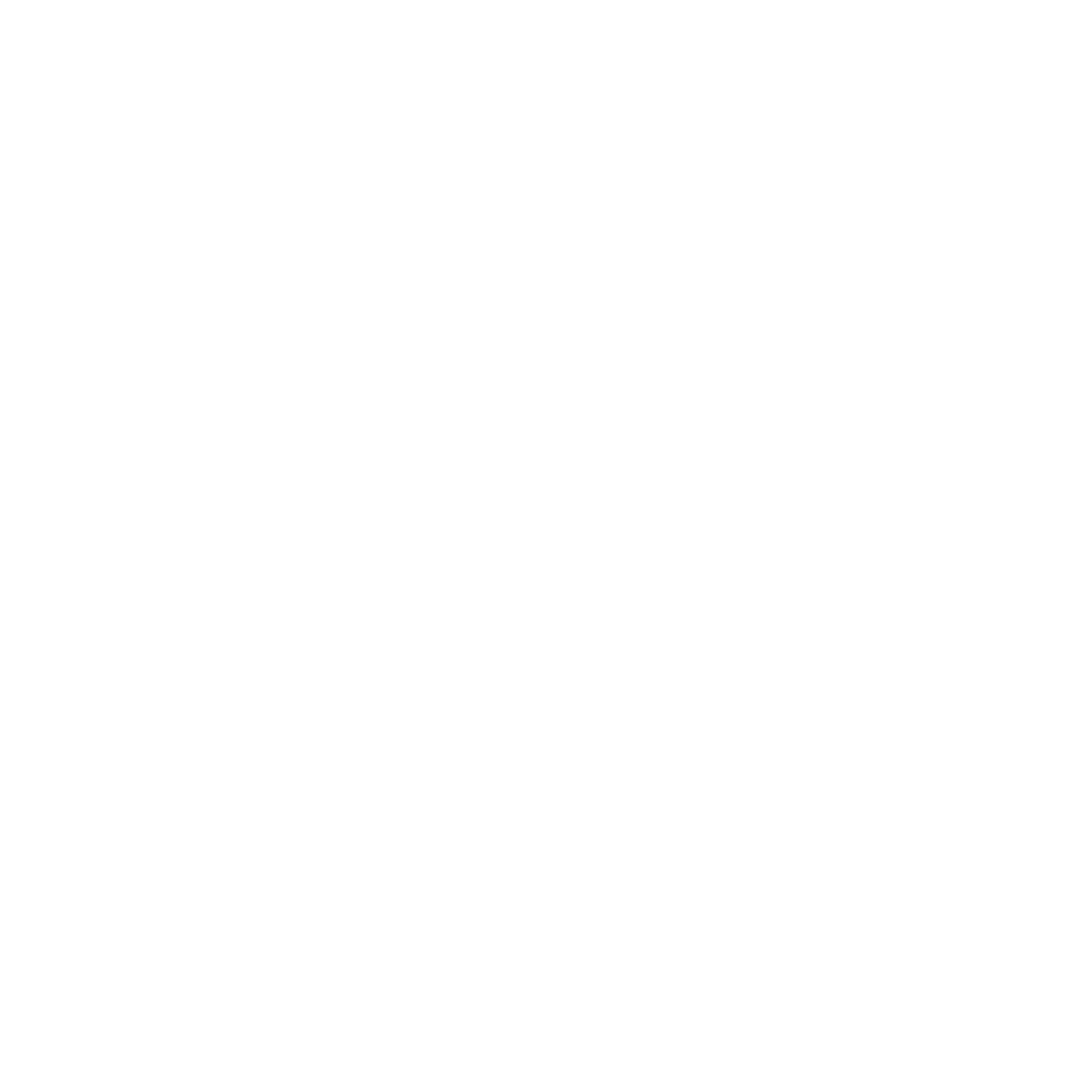 Chase Briscoe